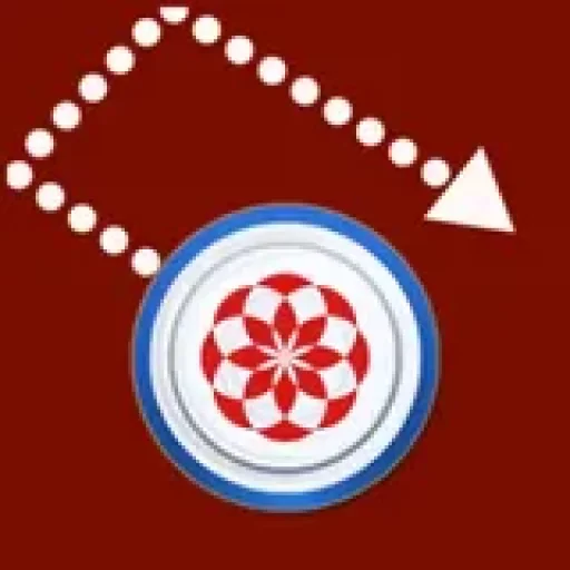 aim carrom